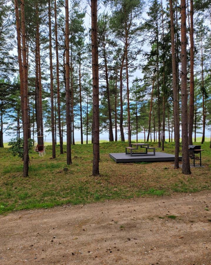 Beach House Trimpas Ungeni Zewnętrze zdjęcie